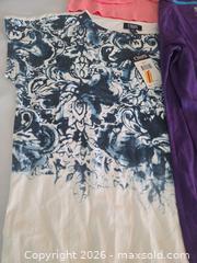 MaxSold Auction: Women's Tops Lot, Chaps & SO, Size Medium, Mixed Colors - Las Vegas (Nevada, USA) PARTNER MANAGED Estate Sale Online Auction -  Argent Star Court