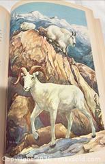 MaxSold Auction: Lot of Vintage Book on Mountaineering, Mountain Climbing, Trekking, and Nature - San Jose (California, USA) SELLER MANAGED Downsizing Online Auction - Elm Street (CONDO)