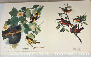 MaxSold Auction: “The Audubon Folio” 22 Beautiful 14”x17” Bird Paintings 1964 - San Jose (California, USA) SELLER MANAGED Downsizing Online Auction - Elm Street (CONDO)