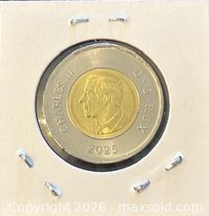 MaxSold Auction: 2025 Cdn. Commemorating the Life and Art of Daphne Odjig Colour Twoonie  - Newmarket (Ontario, Canada) PARTNER MANAGED Reseller Online Auction - Walter Avenue