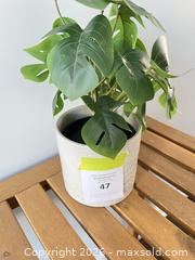 MaxSold Auction: Artificial plant - Ottawa (Ontario, Canada) PARTNER MANAGED Downsizing Online Auction - Gladwin Crescent