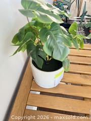 MaxSold Auction: Artificial plant - Ottawa (Ontario, Canada) PARTNER MANAGED Downsizing Online Auction - Gladwin Crescent