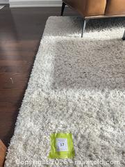 MaxSold Auction: Hi Pile Rug - Ottawa (Ontario, Canada) PARTNER MANAGED Downsizing Online Auction - Gladwin Crescent