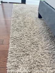 MaxSold Auction: High Pile Rug - Ottawa (Ontario, Canada) PARTNER MANAGED Downsizing Online Auction - Gladwin Crescent