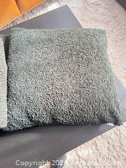 MaxSold Auction: Two pillows and throw blanket - Ottawa (Ontario, Canada) PARTNER MANAGED Downsizing Online Auction - Gladwin Crescent