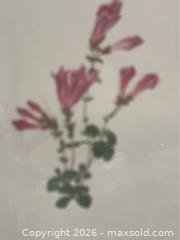 MaxSold Auction: Framed Vintage Botanical Print – “Rock Penstemon” (Penstemon rupicola) - Campbell (California, USA) SELLER MANAGED Downsizing Online Auction - Dell Avenue