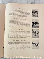MaxSold Auction: Portfolio of Horses by Wesley Dennis & Marguerite Henry - Wake Forest (North Carolina, USA) PARTNER MANAGED Downsizing Online Auction - Wait Avenue