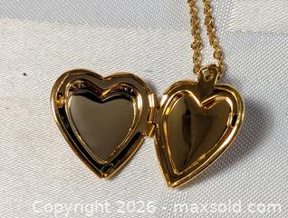 MaxSold Auction: LARGE COSTUME JEWELRY NECKLACE LOT - Kingston (Ontario, Canada) SELLER MANAGED Downsizing Online Auction - Rosemund Crescent