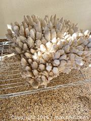 MaxSold Auction: Large White Natural Coral Specimen (Over 24") - Longmont (Colorado, USA) PARTNER MANAGED Estate Sale Online Auction -  Twilight Court