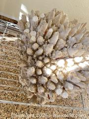 MaxSold Auction: Large White Natural Coral Specimen (Over 24") - Longmont (Colorado, USA) PARTNER MANAGED Estate Sale Online Auction -  Twilight Court