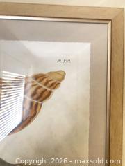 MaxSold Auction: Pair of Framed Seashell Nautical Art Prints, Light Wood Frames - Longmont (Colorado, USA) PARTNER MANAGED Estate Sale Online Auction -  Twilight Court