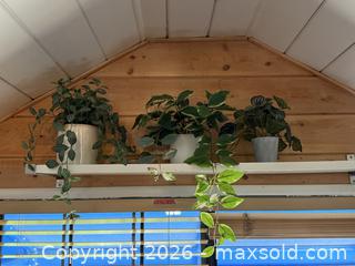 MaxSold Auction: Vintage Faux Windowsill Plants in Ceramic Vases - San Jose (California, USA) SELLER MANAGED Estate Sale Online Auction - South 16th Street