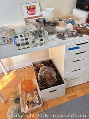 MaxSold Auction: Rocks, Pinecones, and Shells - Toronto (Ontario, Canada) PARTNER MANAGED Downsizing Online Auction - Crescent Town Road