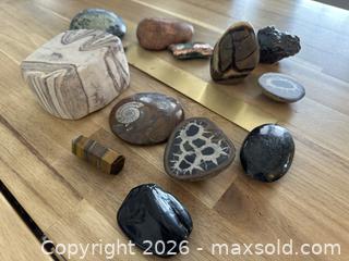 MaxSold Auction: Assorted Fossil, Metallic & Earth-Tone Mineral Lot - 11 Pieces - Milton (Ontario, Canada) SELLER MANAGED Downsizing Online Auction - Broadway Avenue