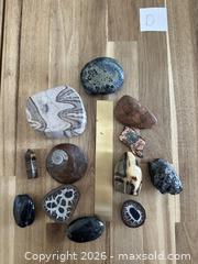 MaxSold Auction: Assorted Fossil, Metallic & Earth-Tone Mineral Lot - 11 Pieces - Milton (Ontario, Canada) SELLER MANAGED Downsizing Online Auction - Broadway Avenue