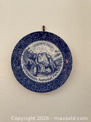 MaxSold Auction: Vintage Blue and White Yosemite National Falls Plate  - San Jose (California, USA) SELLER MANAGED Estate Sale Online Auction - South 16th Street