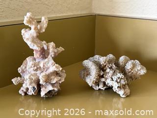 MaxSold Auction: Vintage Reef Coral  - San Jose (California, USA) SELLER MANAGED Estate Sale Online Auction - South 16th Street