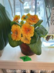 MaxSold Auction: Faux Plants B  - Toronto (Ontario, Canada) Downsizing Online Auction - Kimbark Blvd 