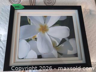 MaxSold Auction: Framed Photos and Frames B - Toronto (Ontario, Canada) Downsizing Online Auction - Kimbark Blvd 