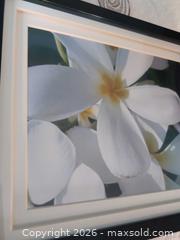 MaxSold Auction: Framed Photos and Frames B - Toronto (Ontario, Canada) Downsizing Online Auction - Kimbark Blvd 