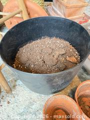 MaxSold Auction: Plant Pots B - Toronto (Ontario, Canada) Downsizing Online Auction - Kimbark Blvd 