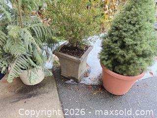 MaxSold Auction: Plant pots (front) B - Toronto (Ontario, Canada) Downsizing Online Auction - Kimbark Blvd 