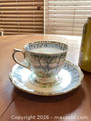 MaxSold Auction: Royal Albert Silver Birch Bone China Teacup & Saucer - Coquitlam (British Columbia, Canada) SELLER MANAGED Reseller Online Auction - Robson Drive