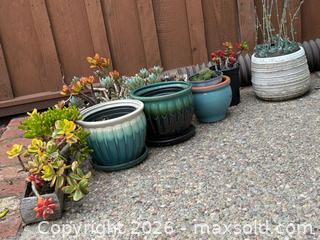 MaxSold Auction: Vintage Pots and Succulents Lot - Daly City (California, USA) SELLER MANAGED Estate Sale Online Auction - Lake Vista Avenue