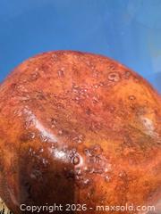 MaxSold Auction: Rustic Brown Dried Gourd Vase with Raffia Trim - Calgary (Alberta, Canada) SELLER MANAGED Estate Sale Online Auction - 59 Avenue South East