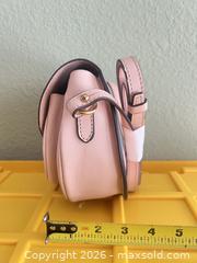 MaxSold Auction: Dooney & Bourke Light Pink Leather Crossbody with Gold Hardware - Las Vegas (Nevada, USA) PARTNER MANAGED Estate Sale Online Auction - Argent Star Court