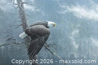 MaxSold Auction: Robert Bateman - Air, Forest and the Watch Limited Edition Print s/n - Mississauga (Ontario, Canada) SELLER MANAGED Downsizing Online Auction - Romark Mews