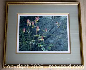 MaxSold Auction: Robert Bateman - Ruby-Throat and Columbine Limited Edition Print, s/n - Mississauga (Ontario, Canada) SELLER MANAGED Downsizing Online Auction - Romark Mews