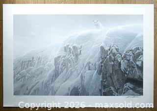 MaxSold Auction: Robert Bateman Arctic Cliff - White Wolves Limited Edition Print s/n - Mississauga (Ontario, Canada) SELLER MANAGED Downsizing Online Auction - Romark Mews