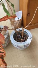 MaxSold Auction: Pair of Porcelain Glazed Ceramic Planters with Asian Floral Design A - Deep River (Ontario, Canada) PARTNER MANAGED Downsizing Online Auction - Frontenac Crescent
