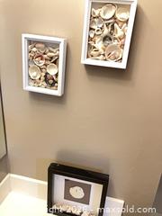 MaxSold Auction: Framed Shells. B - London (Ontario, Canada) PARTNER MANAGED Estate Sale Online Auction - Brixham Crescent