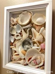 MaxSold Auction: Framed Shells. B - London (Ontario, Canada) PARTNER MANAGED Estate Sale Online Auction - Brixham Crescent