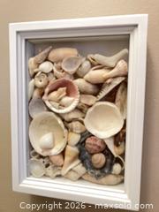 MaxSold Auction: Framed Shells. B - London (Ontario, Canada) PARTNER MANAGED Estate Sale Online Auction - Brixham Crescent