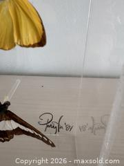MaxSold Auction: Butterflies Display cases - Ottawa (Dunrobin) (Ontario, Canada) SELLER MANAGED Downsizing Online Auction - Greenland Road