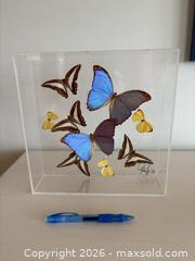 MaxSold Auction: Butterflies Display cases - Ottawa (Dunrobin) (Ontario, Canada) SELLER MANAGED Downsizing Online Auction - Greenland Road