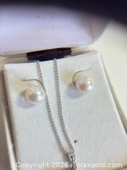 MaxSold Auction: Necklace and Earrings A - Palmer Township (Pennsylvania, USA) PARTNER MANAGED Estate Sale Online Auction - High Point Ct