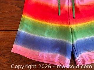 MaxSold Auction: Rainbow Striped Satin-Finish Shorts - Women's Size Small  - Toronto (Ontario, Canada) SELLER MANAGED Downsizing Online Auction - Dovercourt Road