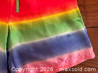 MaxSold Auction: Rainbow Striped Satin-Finish Shorts - Women's Size Small  - Toronto (Ontario, Canada) SELLER MANAGED Downsizing Online Auction - Dovercourt Road