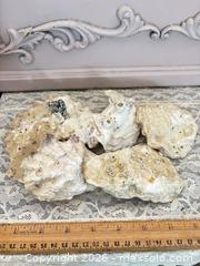 MaxSold Auction: Medium Oyster Shells, Pack of 5 - Gull Lake (Alberta, Canada) SELLER MANAGED Reseller Online Auction - Stuart Avenue