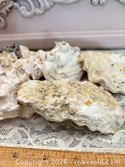 MaxSold Auction: Medium Oyster Shells, Pack of 5 - Gull Lake (Alberta, Canada) SELLER MANAGED Reseller Online Auction - Stuart Avenue
