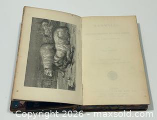 MaxSold Auction: 1870 Mammalia c/w 267 Engravings by Louis Figuier Leather Bound Book - Burlington (Ontario, Canada) SELLER MANAGED Estate Sale Online Auction - Fairview Street (STORAGE)