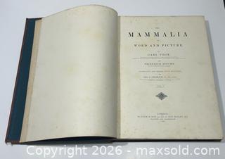 MaxSold Auction: 1887-1888 The Mammalia in Word & Picture Book Volume 1 & 2 Complete  - Burlington (Ontario, Canada) SELLER MANAGED Estate Sale Online Auction - Fairview Street (STORAGE)