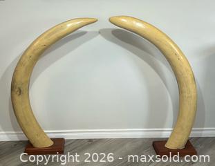 MaxSold Auction: Realistic Faux Pair of Elephant Tusks LARGE 3.5 Feet Tall - Burlington (Ontario, Canada) SELLER MANAGED Estate Sale Online Auction - Fairview Street (STORAGE)
