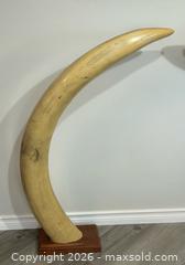 MaxSold Auction: Realistic Faux Pair of Elephant Tusks LARGE 3.5 Feet Tall - Burlington (Ontario, Canada) SELLER MANAGED Estate Sale Online Auction - Fairview Street (STORAGE)