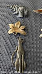 MaxSold Auction: Lot of Brooches  - Cambridge (Ontario, Canada) SELLER MANAGED Reseller Online Auction - Dakin Crescent