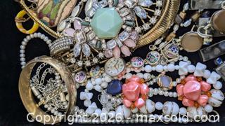 MaxSold Auction: Lot of Costume Jewelry  - Cambridge (Ontario, Canada) SELLER MANAGED Reseller Online Auction - Dakin Crescent